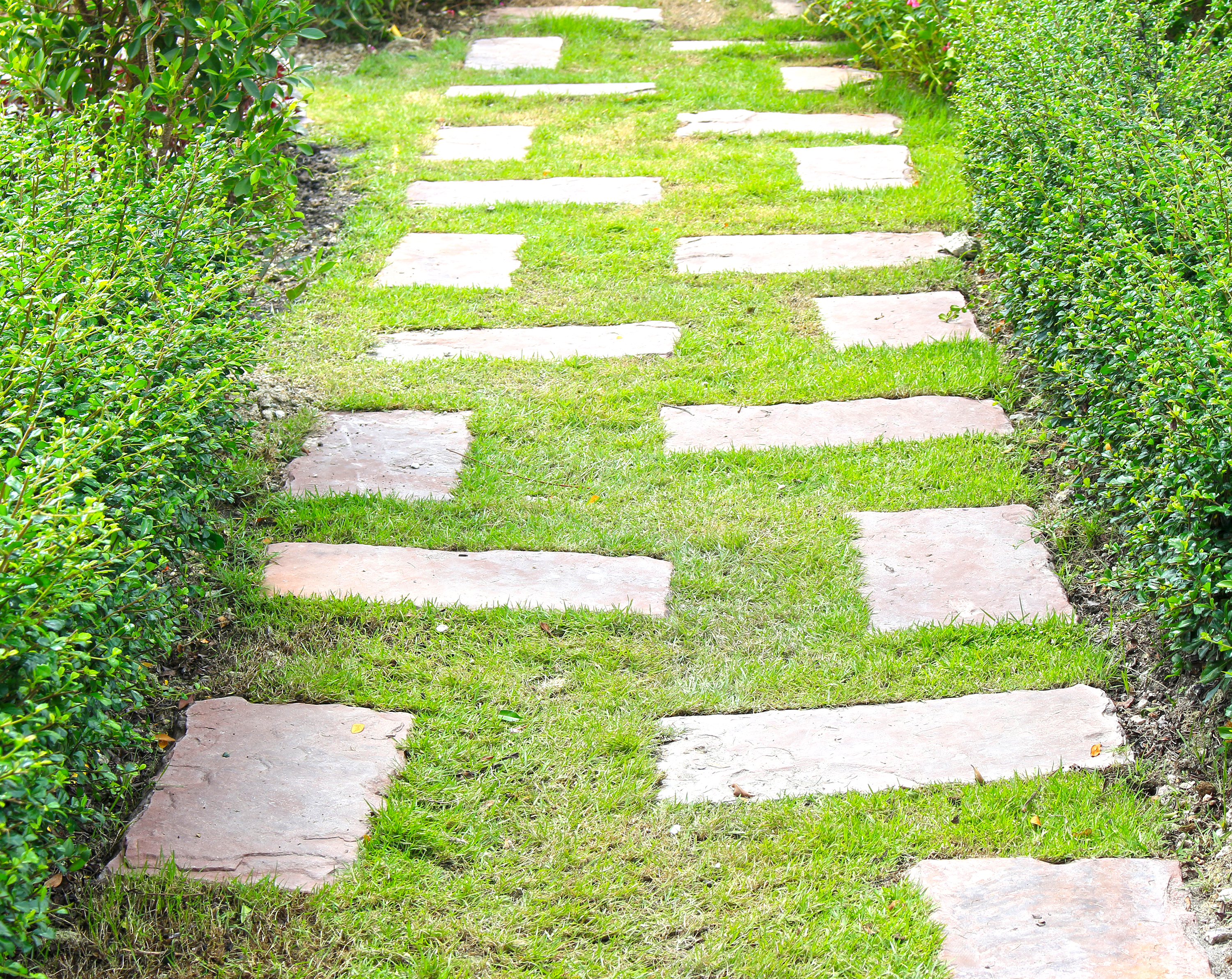 Verwandeln Sie einen unansehnlichen Parkplatz in ein gr�nes Gartenparadies