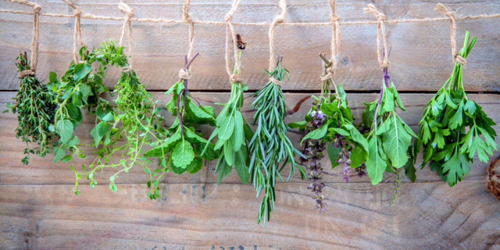 Kr�uter f�r den Garten, als Zierde und f�r die K�che: Der komplette Leitfaden f�r Anbau, Auswahl, Ernte, Trocknung und Verwendung von (nicht nur) Heilkr�utern