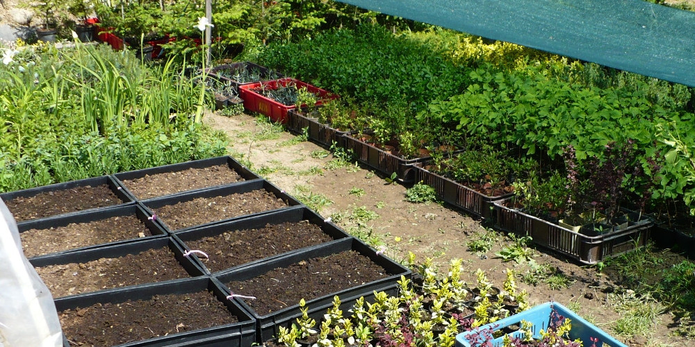 Wir sind G�rtner mit Leidenschaft