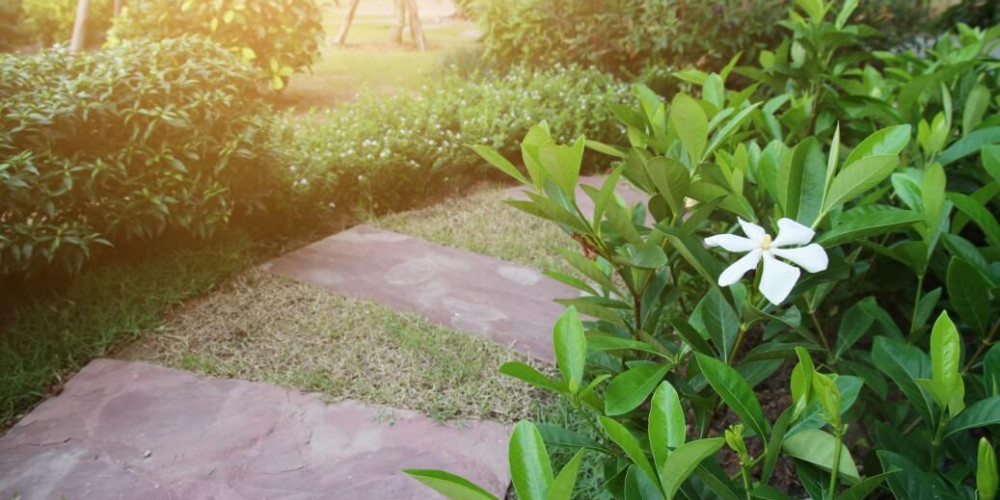 Das Geheimnis einer „Wow“-schönen Vorgarten: Anleitung, wie man den Bereich vor dem Haus oder am Zaun in eine Oase der Ruhe und einen repräsentativen Hauseingang verwandelt Das Geheimnis einer „Wow“-schönen Vorgarten: Anleitung, wie man den Bereich vor dem Haus oder am Zaun in eine Oase der Ruhe und einen repräsentativen Hauseingang verwandelt