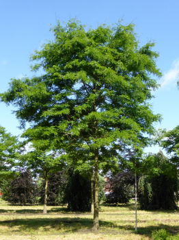 Obr�zok (2)