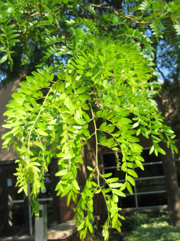 Obr�zok (6)