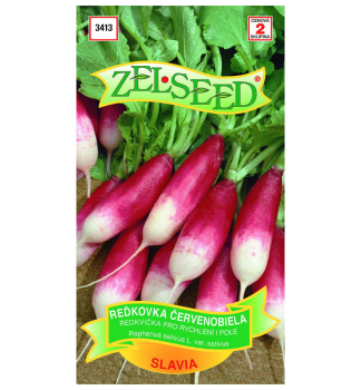 Samen - RADIES 'SLAVIA'