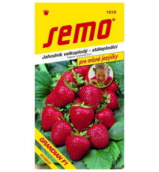 Semo ERDBEERE �GRANDIAN� S��er Geschmack