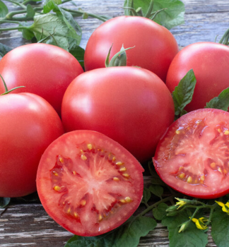 Tomate HONEY MOON F1 Cont. 0,5 l