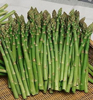 Gem�sespargel, Cont. 0,5 l