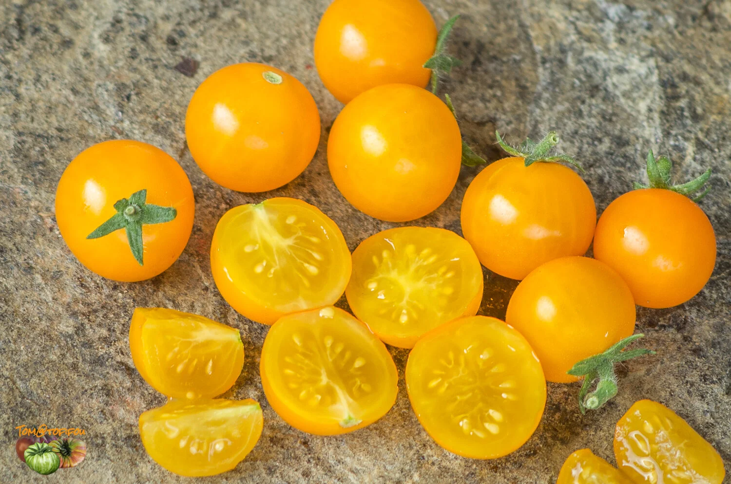 Tomatenstift Kirsche �HINOKI F1�, Cont. 0,5 l