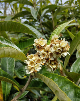 Obr�zok (2)