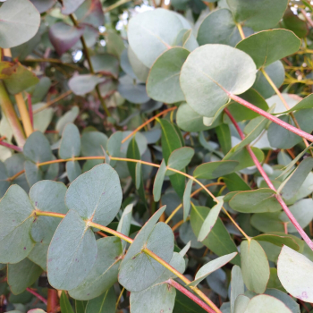 Obr�zok (1)