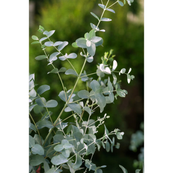Obr�zok (2)