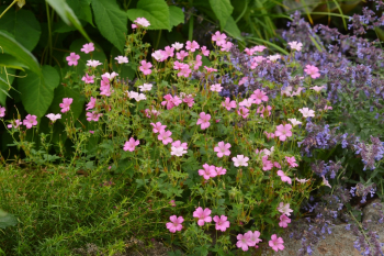 Obrzok (9)