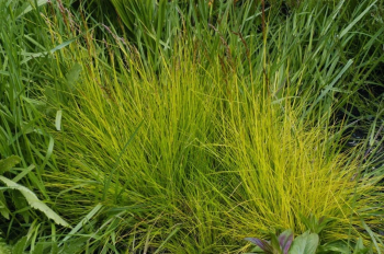Obrzok (4)