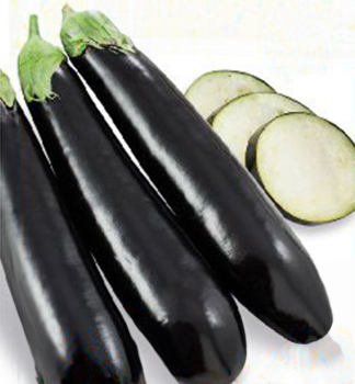 Aubergine �NILO F1�, Cont. 0,5 l