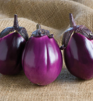 Aubergine �BEATRICE F1�, Cont. 0,5 l