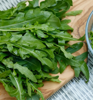 Schmalbl�ttriger Doppelsame 'FARINA' Cont. 1 l