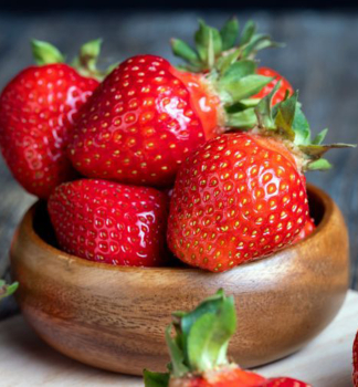 Erdbeere 'FLAIR' 10 Pflanzen im Tray