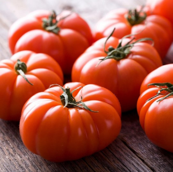 Tomate �BUFFALOSTEAK F1� Cont. 0,5 l