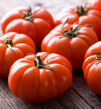 Tomate �BUFFALOSTEAK F1� Cont. 0,5 l