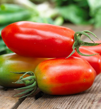 Tomate �SAN MARZANO MARZELLO F1�, Cont. 0,5 l