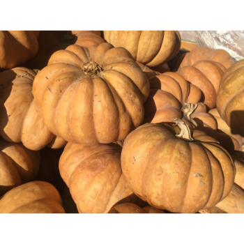 K�RBIS 'MOSCATA DI PROVENZA', Cont. 0,5 l