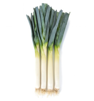 Lauch 'VOLUTUS F1�, Packung mit 12 Pflanzen