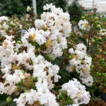 Obr�zok (2)