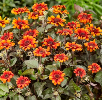 Obr�zok (1)