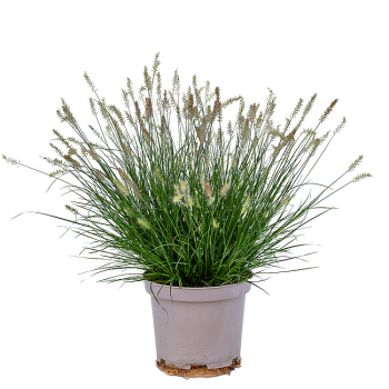 Obr�zok (1)