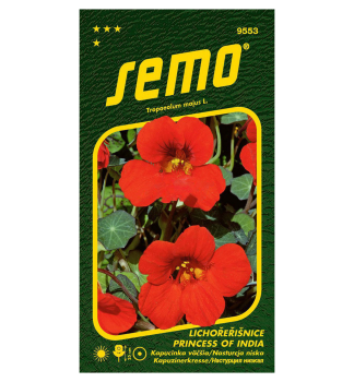 Samen - GR�SSERES KAPUZIN 'PRINCESS OF INDIA'