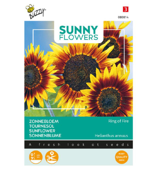 Samen - SONNENBLUME RING OF FIRE