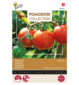 Samen - POMODORI TOMATE 'TIGERELLA'