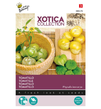 Samen - XOTICA TOMATILLO