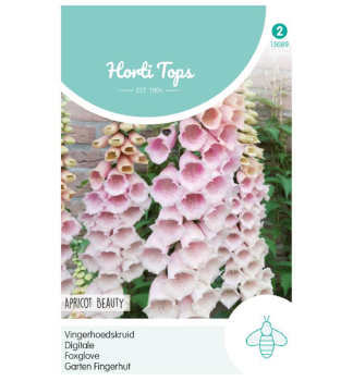 Samen - FINGERHUT APRICOT BEAUTY'