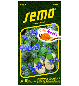 Semo Borretsch - essbare Bl�ten