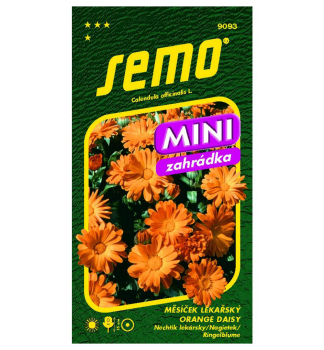 Semo Ringelblume  �ORANGE DAISY�