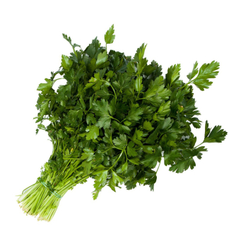 Blatt-Petersilie 'TITAN' Packung mit 6 Pflanzen