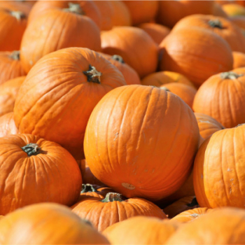 K�RBIS 'MAGICIAN F1' (Halloween) Cont. 0,5 l