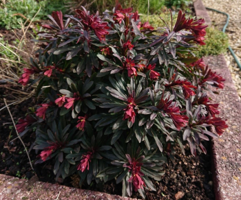 Obr�zok (4)