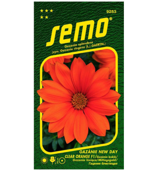 Samen - Mittagsgold �DAY CLEAR ORANGE� F1