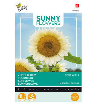 Samen - SONNENBLUME WHITE SUN F1