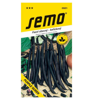 Semo BOHNE �PURPLE QUEEN�.