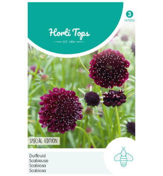 Samen - Skabiose  DEEP PURPLE