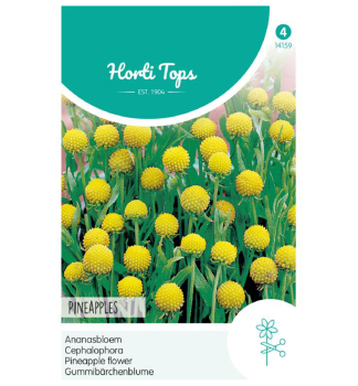 Samen - Gummibrchen-Blume PINEAPPLES