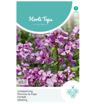 Samen - SILBERLING 'VIOLET'