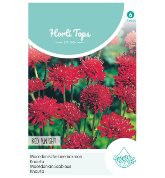 Samen - KNAUTIA RED KNIGHT