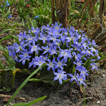 Obrzok (2)