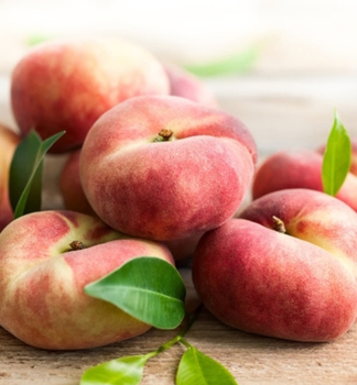 Abgeflachter Pfirsich 'SANDWICH WEIS', Unterlage BSB-1, 170-180 cm, Cont. 10 l