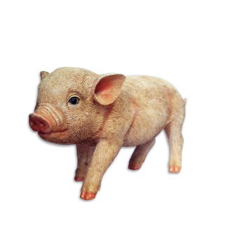 SCHWEIN, 22x9x13 cm