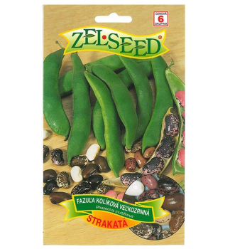 Samen - BOHNE 'STRAKAT�� 38 g