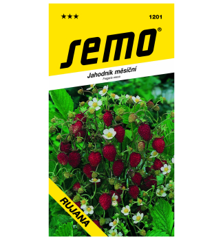 Samen - Wald-Erdbeere 'RUJANA'